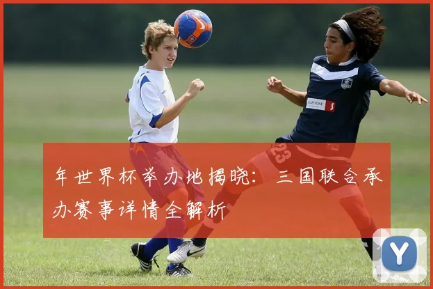 年世界杯举办地揭晓：三国联合承办赛事详情全解析