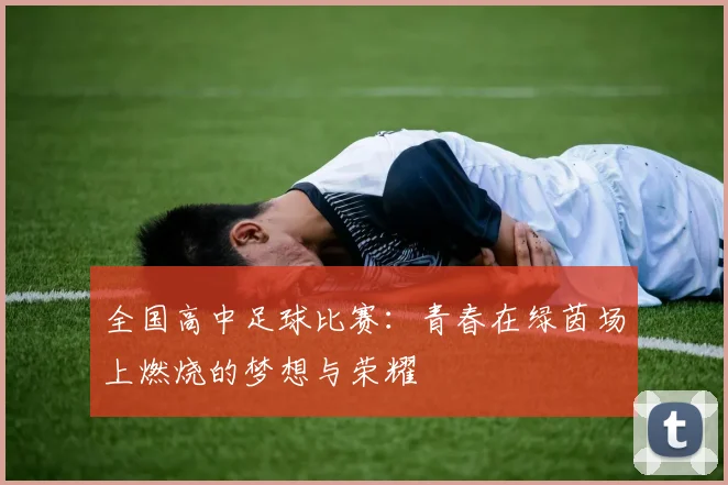 全国高中足球比赛:青春在绿茵场上燃烧的梦想与荣耀